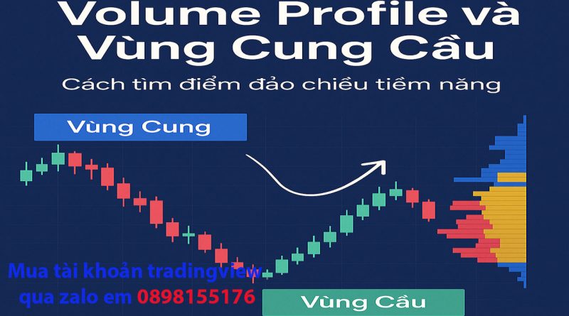 Hướng dẫn phân tích Volume trên TradingView hiệu quả